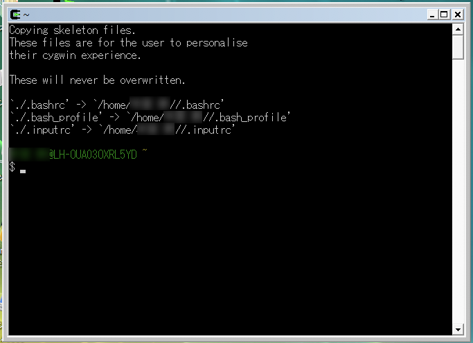 cygwin2.png